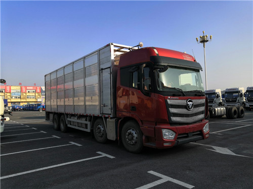 国六畜禽运输车选欧曼，营运、环保齐全，提供整车合格证